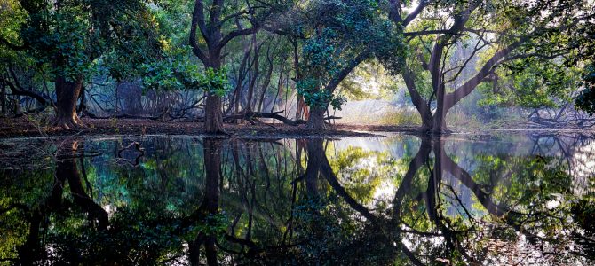 Into the Deep End of India – Reflections Into the Deep End of India – Reflections
